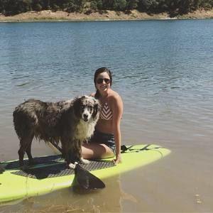 Meet your Posher, Lizzy